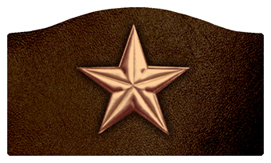 DASHELL 430 CP BK Star Copper Black